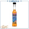 شوینده کامل سیستم سوخت خودرو گام اوت Gumout Regane Complete Fuel System Cleaner